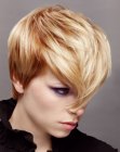 Pixie cut with long twisted bangs