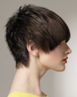 Short hairstyle with a layered crown and forward styling