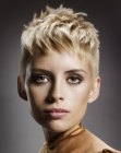 Blonde pixie with clipper-cut sides and back