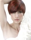 Powerful just over the ears haircut with a mahogany hair color