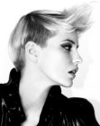 Glitzy short hairstyle with a quiff