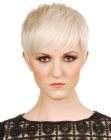 Wearable blonde pixie cut with bangs