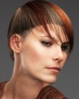 Dual-level haircut that combines two lengths of a bowl cut