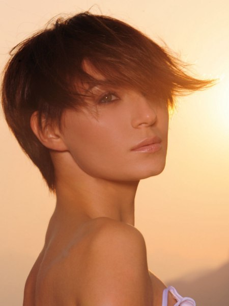 Sleek short hairstyle with soft lines