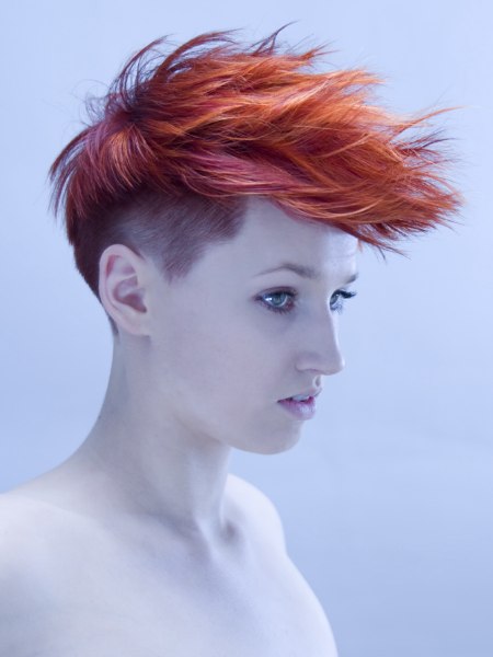 Short women's hair with clipper cut sides