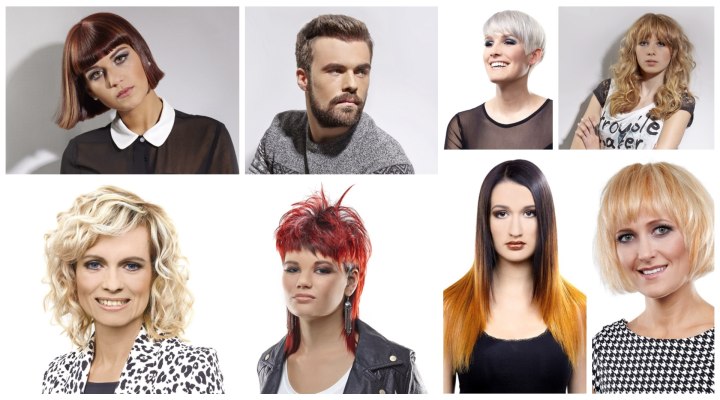 Wearable hairstyles