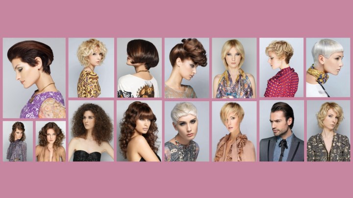 Hair of the past decades and the 1950s and 1970s