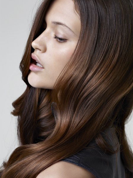 Brown hair with light and dark sections