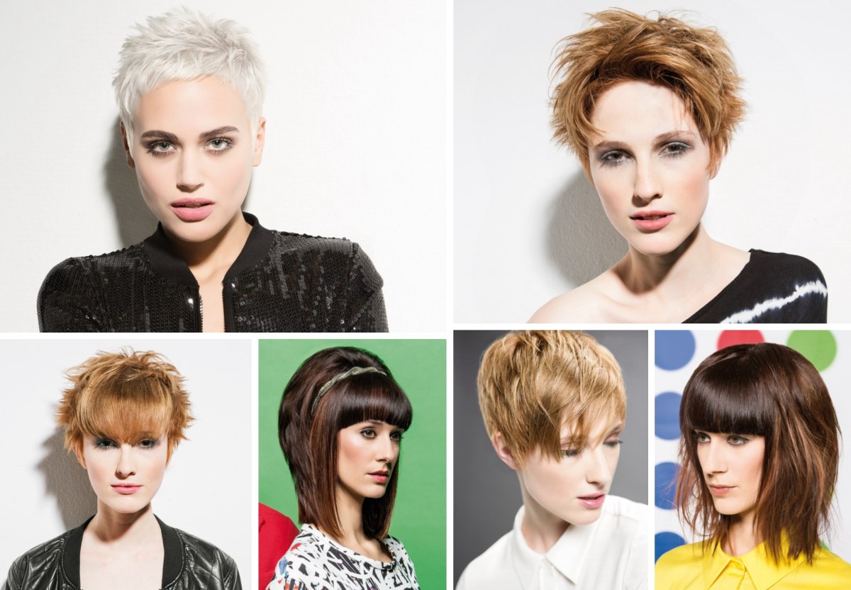 50 Blunt Cuts and Blunt Bobs That Are Dominating in 2024 - Hair Adviser
