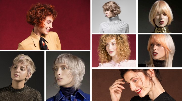 Hairdressers trends