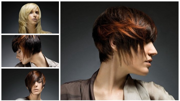 Elegant short hair for modern women