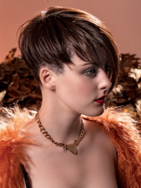 Short haircut with a graduated neck and longer top hair