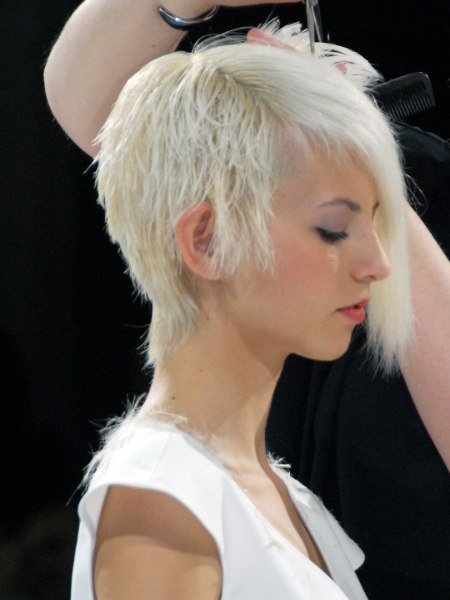 Hairdresser cutting the model's hair short