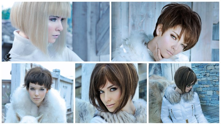 Fashionable hairstyles with pixie cuts and bobs