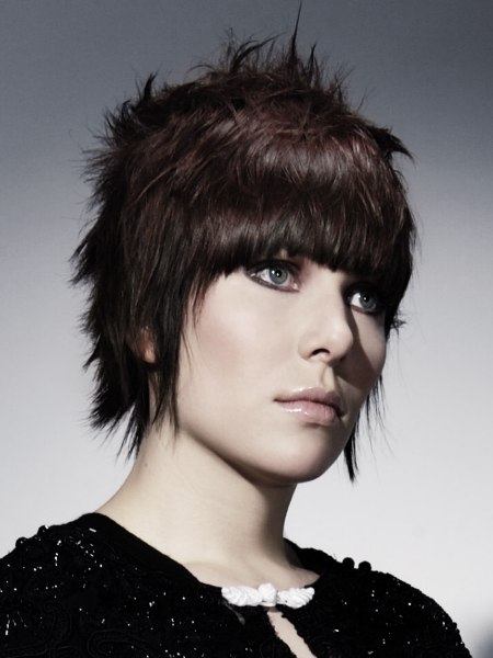 Short haircut with classic round lines