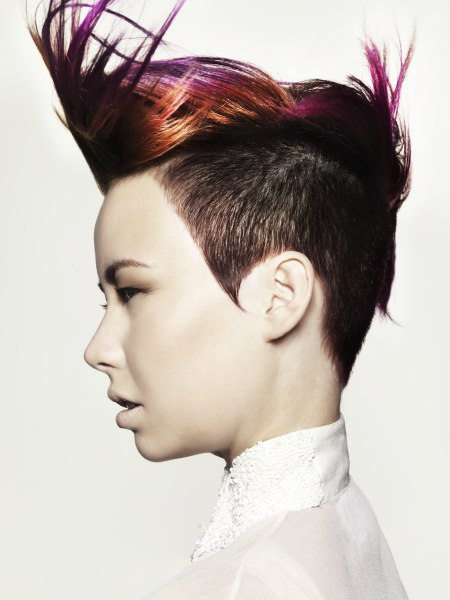 Women's haircut with buzz cut short sides and purple hues