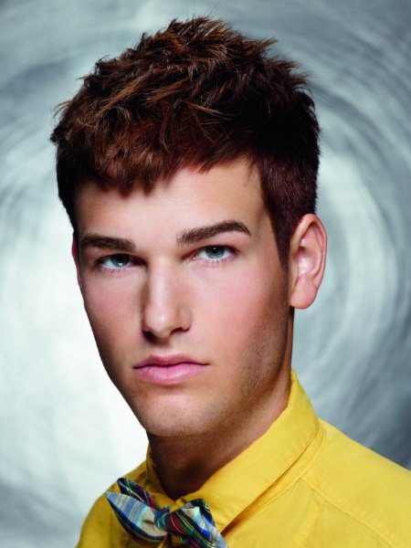 Professional male hairstyle for brown hair