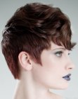 Short hairstyle with layered sides and curls on top of the head