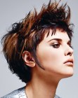 Short haircut with the top hair lifted up to spikes
