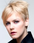 Pixie cut with a disconnected top and very short back and sides