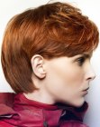 Short haircut with a classic outline and exposed ears for women