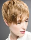 Short women's haircut with layers and the hair styled towards the front