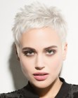 Platinum blonde pixie cut that follows the shape of the head