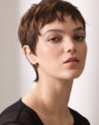 modern pixie