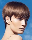 Brunette pixie cut with an elongated nape section