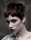 Pixie hairstyle with very short sides