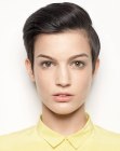 Simple pixie cut the sides blow dried flat