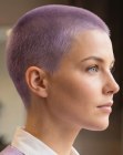 Purple buzz cut