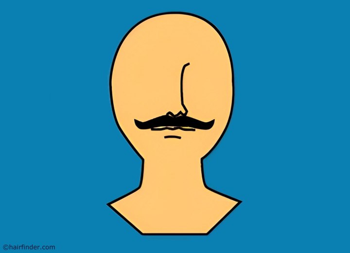 Handlebar moustache