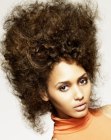 Very high up-style for naturally curly hair