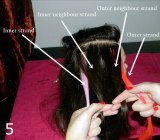 Four-strand braid - Diagram showing how to divide the hair in sections