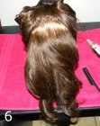 Medieval Queen Braid - Draw out a section with your tail comb