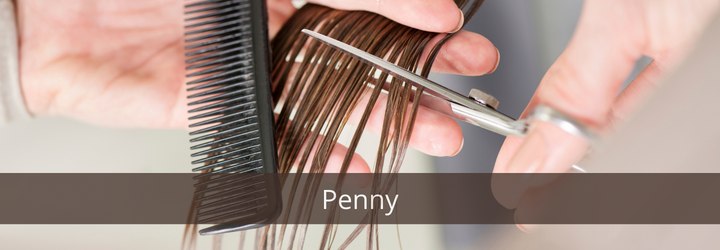 Author Penny