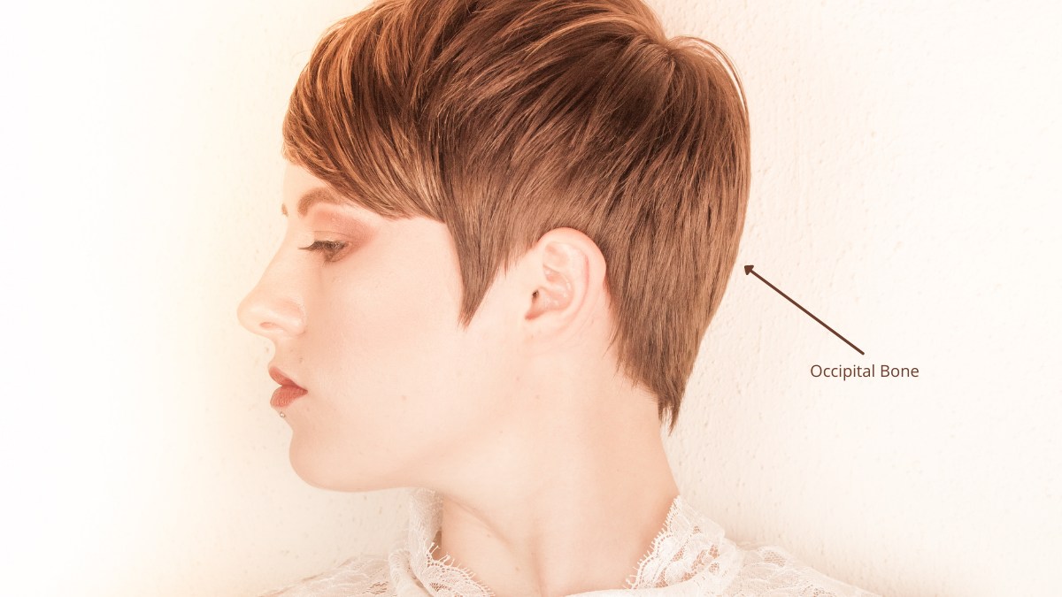 Hairstyle and Hairstyling Terms and Definitions | What is a pixie cut,  devilock, mullet?