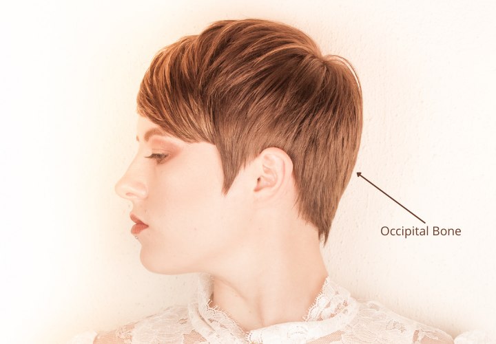 Where the occipital bone is