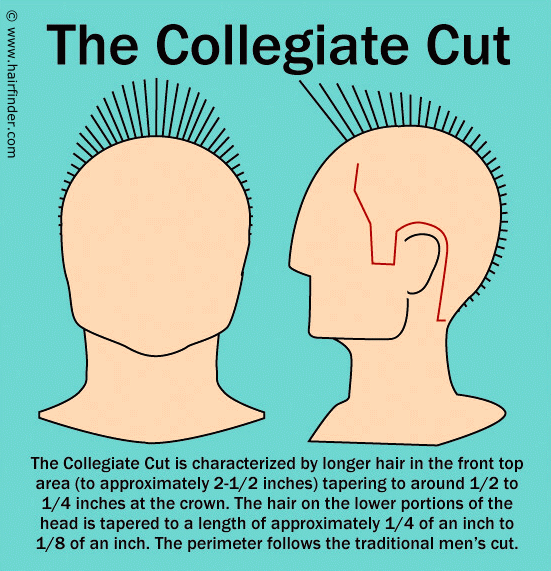 clipper sizes for fade