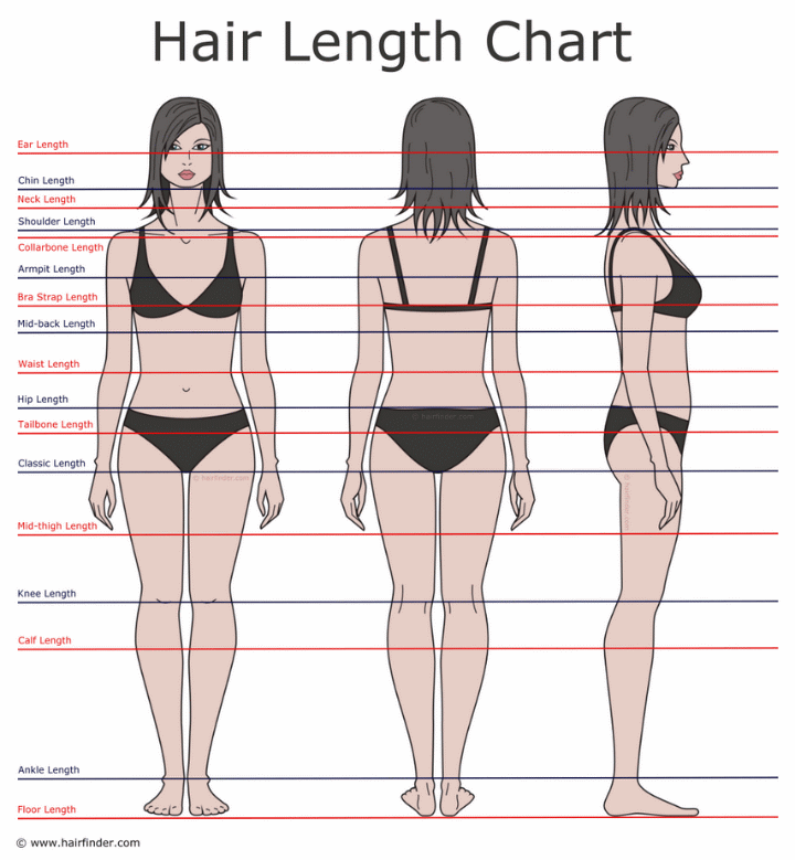 How to describe hair lengths | Hair length chart and the difinition for ...