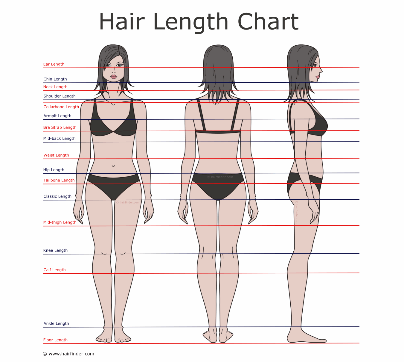 Descriptions of hair lengths and growing times | Hair length chart