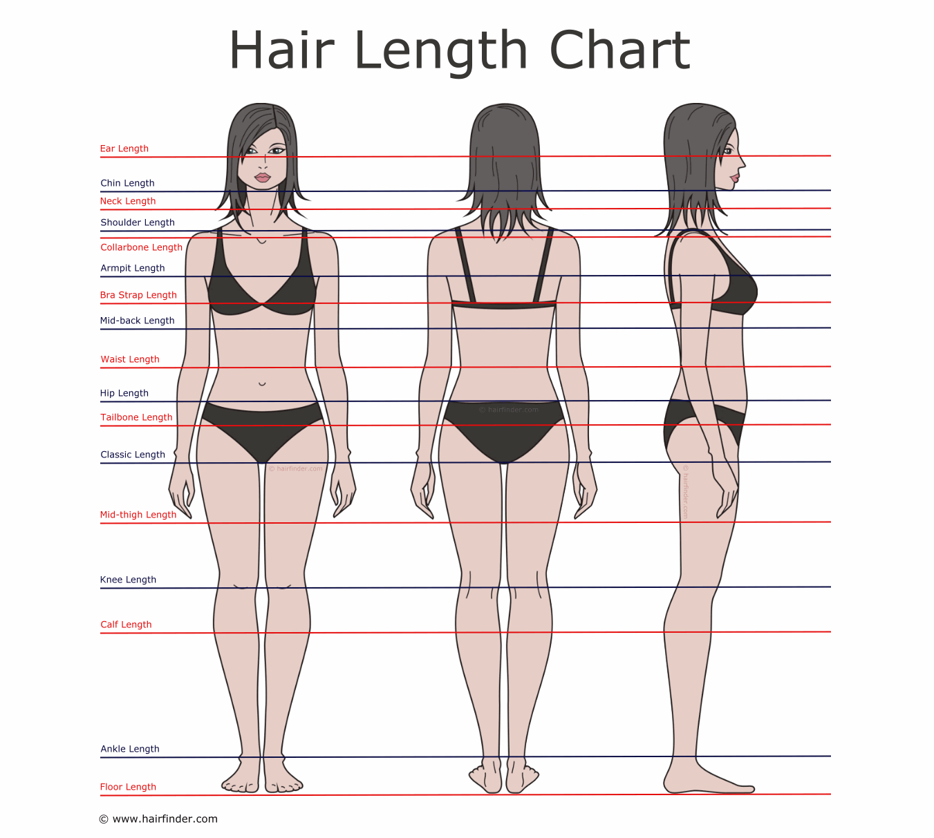 How to describe hair lengths  Hair length chart and the