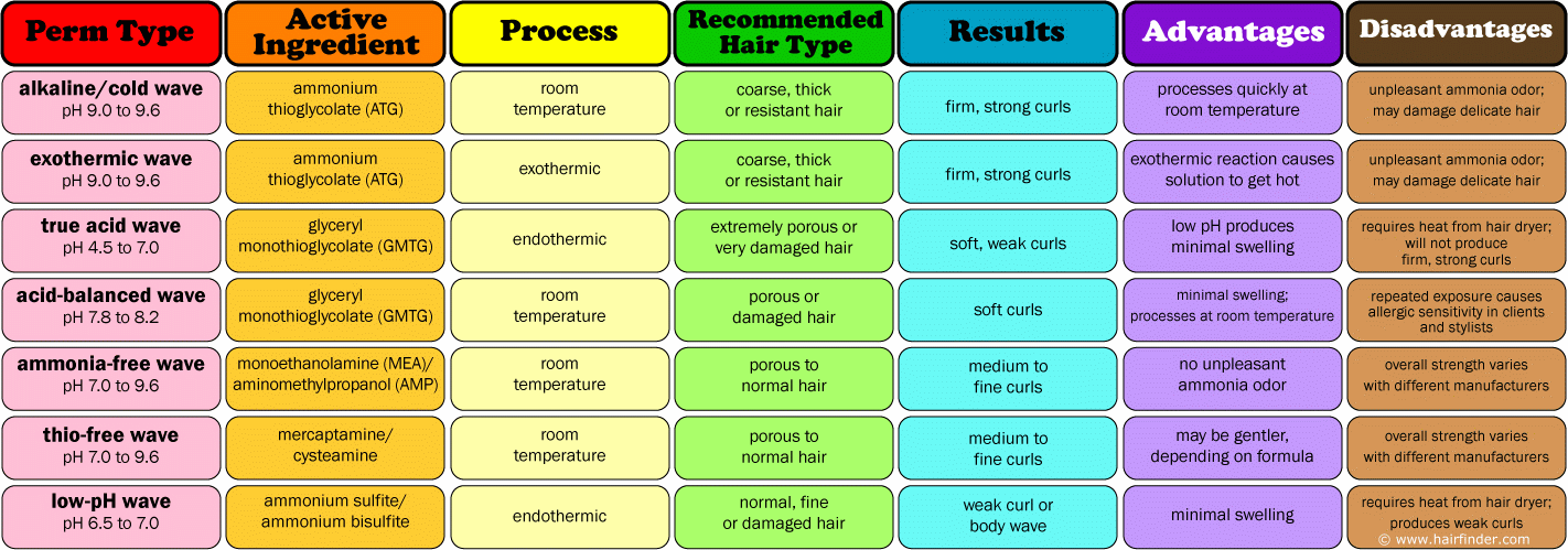 Types Of Perms