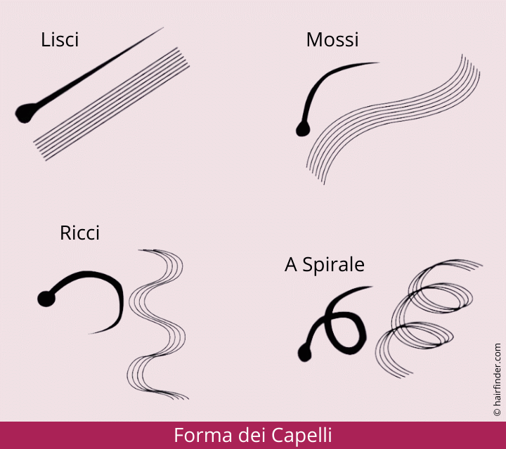 Forma dei capelli