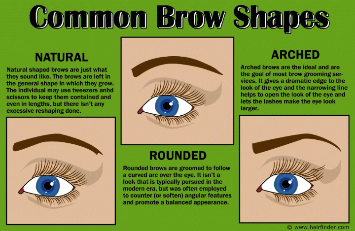 Brow shapes