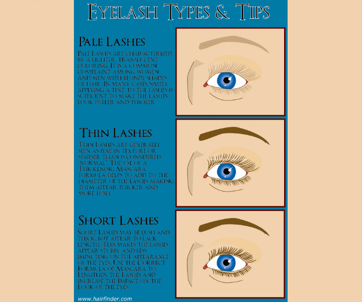 Eyelash types