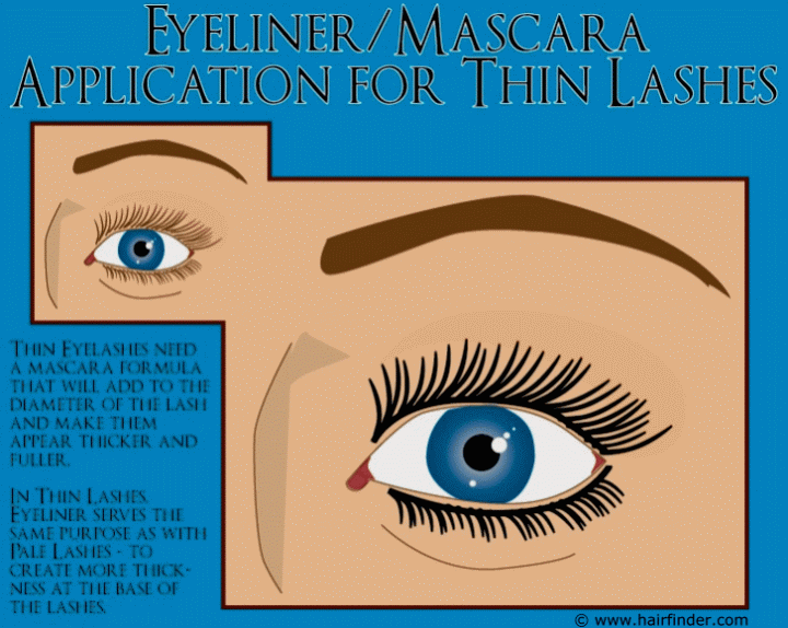 Eyeliner and mascara for thin eyelashes
