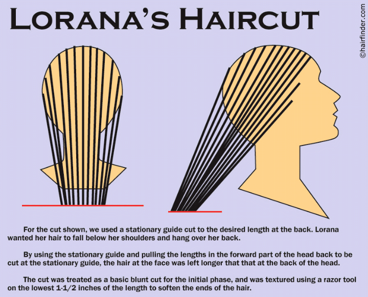 haircut diagram for a long blunt cut