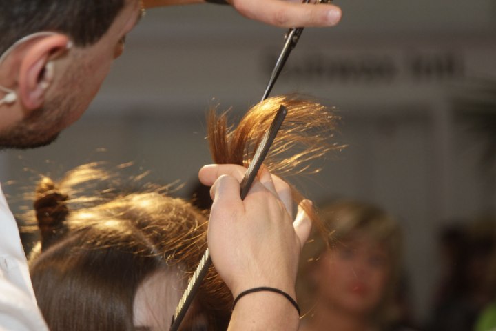 Hair cutting demonstration with point cutting